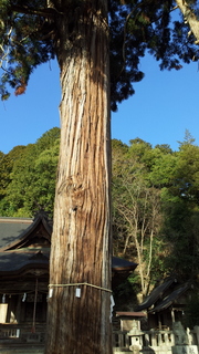 20140129 10.jpg